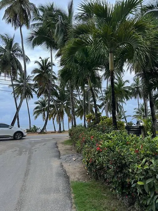 Acogedor Apartamento En Playa Las Ballenas Las Terrenas
